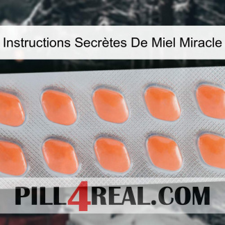 Instructions Secrètes De Miel Miracle 26